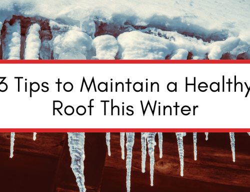 3 Tips for Keeping Your Roof Healthy Through Winter