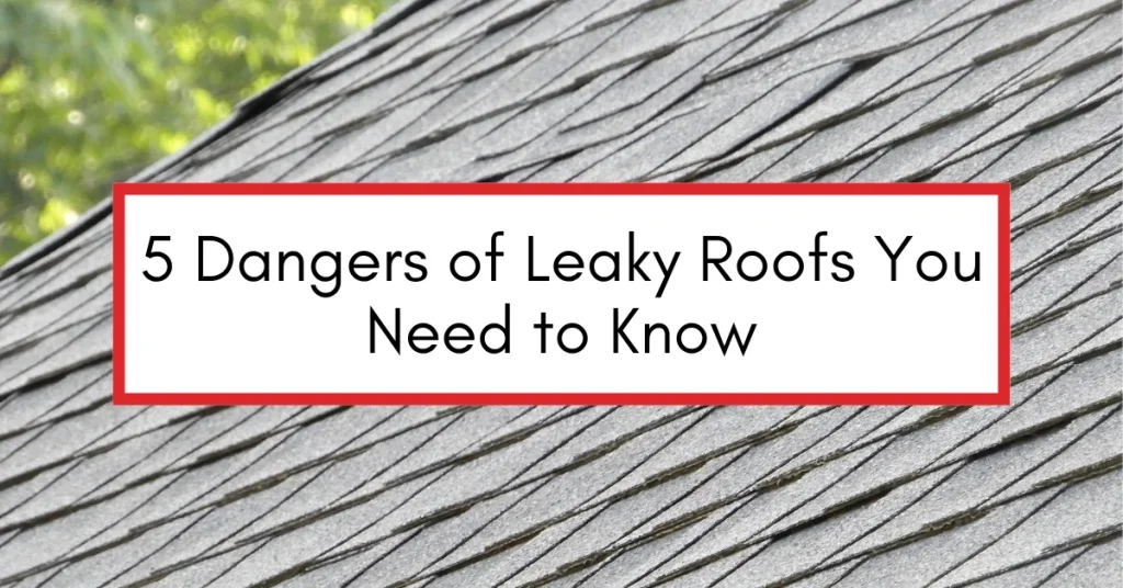 Close-up of a shingled roof with text overlay stating "5 Dangers of Leaky Roofs You Need to Know"