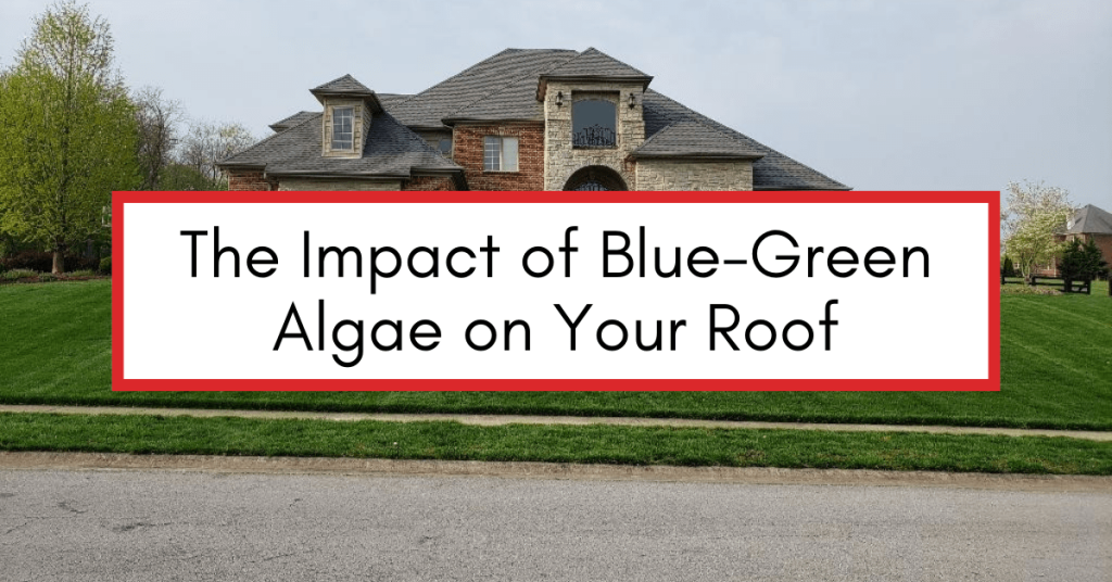 Residential roof in the background with text overlay "The Impact of Blue-Green Algae on Your Roof.