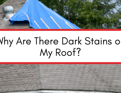 Dark Stains on Your Roof: What Are They?