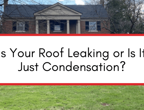 Is Your Roof Leaking Or Is It Just Condensation?