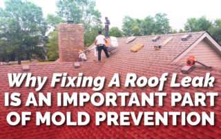 Why Fixing A Roof Leak Is An Important Part Of Mold Prevention