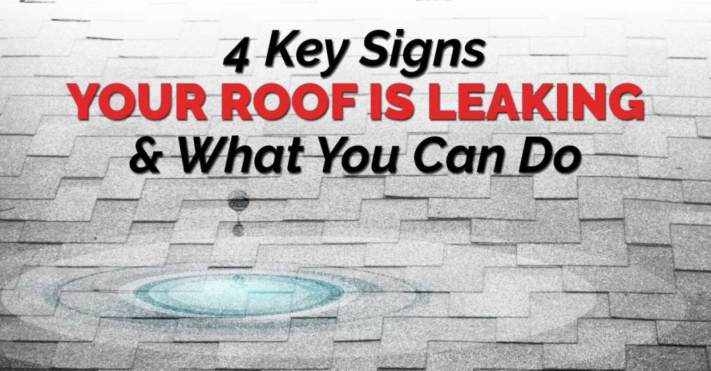 graphic of water puddle on shingle roof with the quote "4 Key Signs Your Roof Is Leaking & What You Can Do"