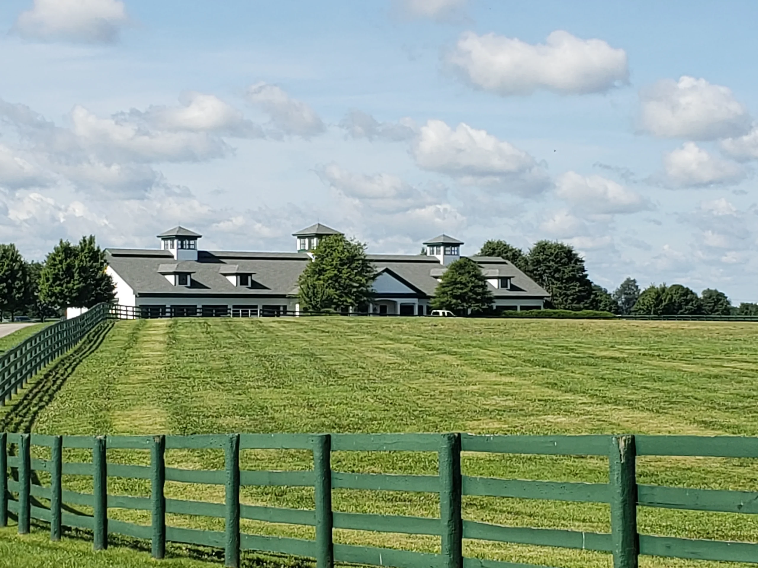 Expert Barn Roof Replacement & Leak Repair for Horse Barns