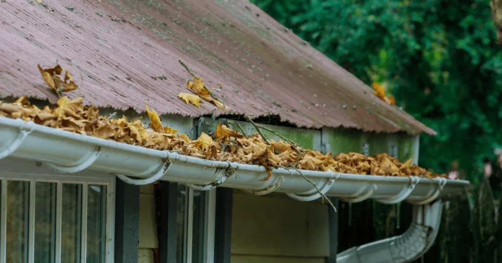 Close-up of a gutter clogged with fallen leaves, attached to a weathered roof.