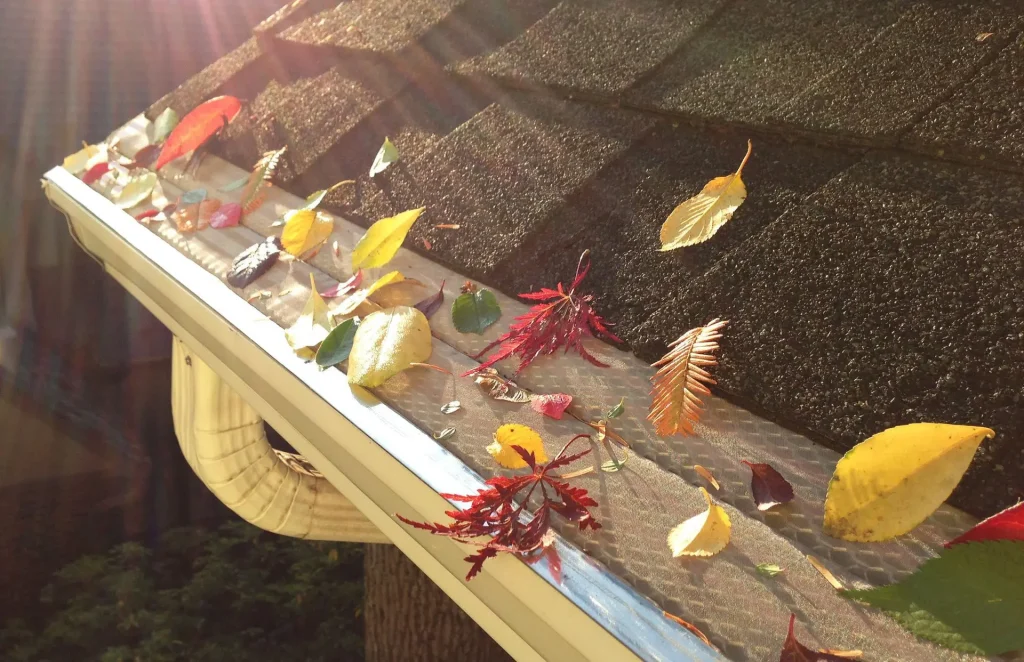 Gutter with metal leaf guard covered in autumn leaves, with sunlight streaming across a shingled roof.