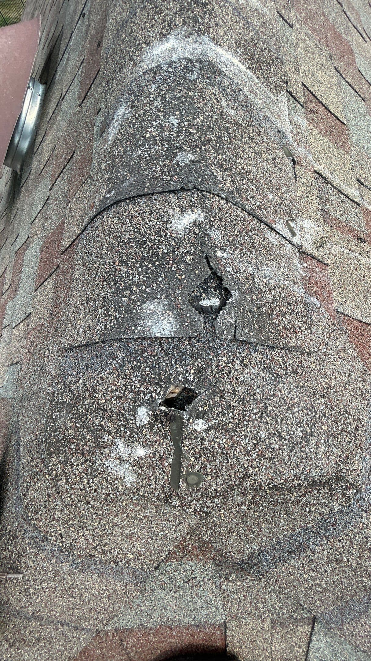 Close-up of roof ridge cap shingles with visible cracks, punctures, and granule loss on a Taylorsville, KY home.