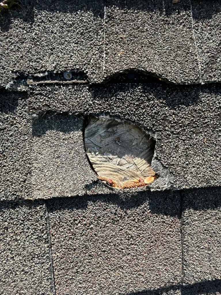 Close-up of roof damage showing a hole in the shingles exposing wood decking on a Kentucky home.