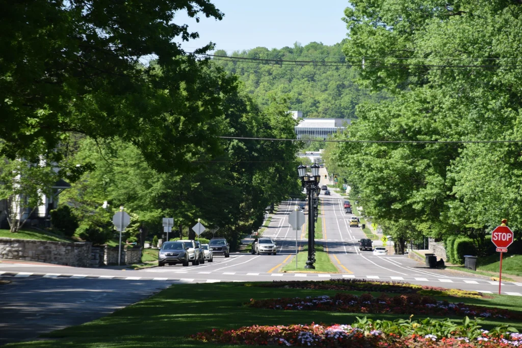 Tree-lined view down Capitol Avenue in Frankfort Kentucky with cars and homes on a sunny day