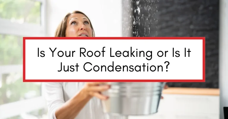 A concerned woman holds a metal bucket under water dripping from the ceiling, highlighting the urgency of identifying whether a roof issue is due to a leak or condensation.