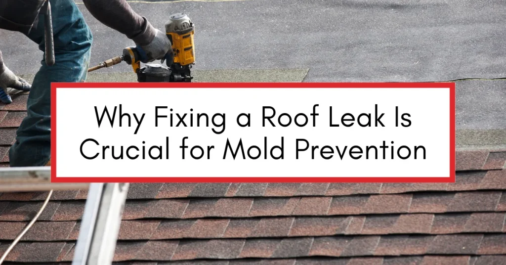 Close-up of a roofer using a nail gun to install shingles during a roof repair, emphasizing the importance of addressing leaks to prevent mold.