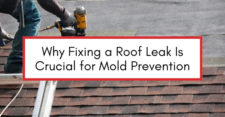 Close-up of a roofer using a nail gun to install shingles during a roof repair, emphasizing the importance of addressing leaks to prevent mold.