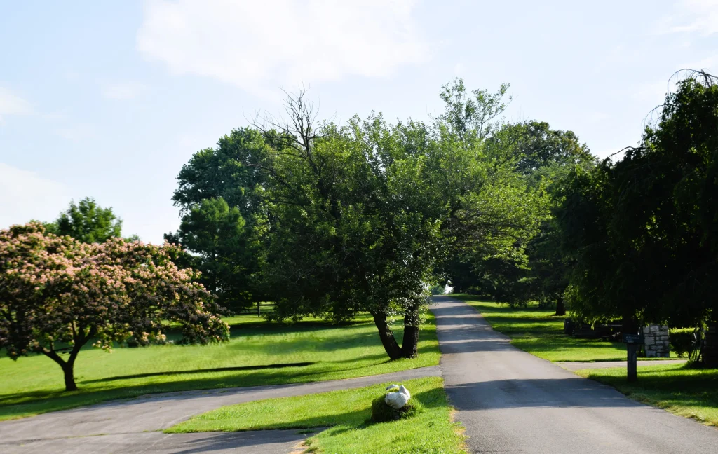 Shaded rural road in White Oak, Kentucky surrounded by trees