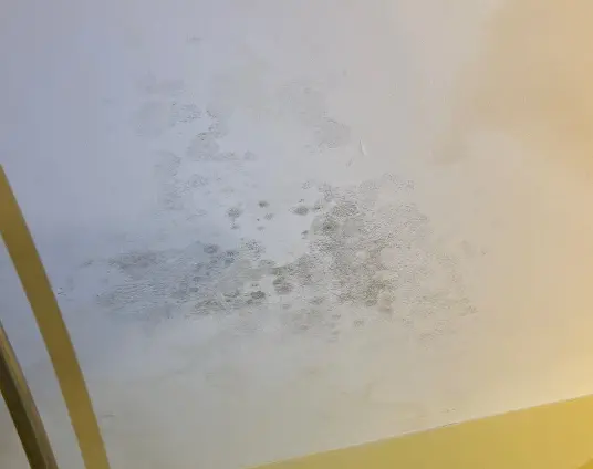 Ceiling Water Stains from Roof Leak – Louisville KY | AIC Roofing & Construction Ceiling water stains from a roof leak in a Louisville, KY home, documented by AIC Roofing & Construction.