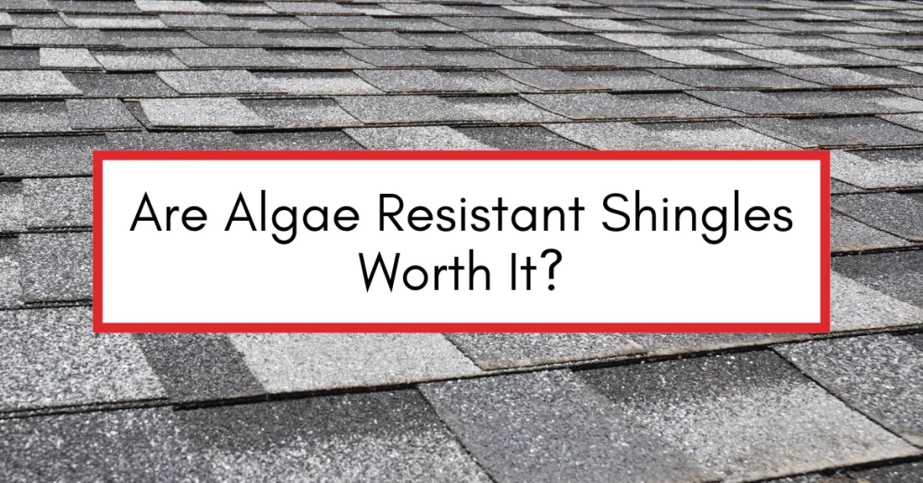 Close-up of a gray asphalt shingle roof with a bold white text box bordered in red that reads: "Are Algae Resistant Shingles Worth It?"