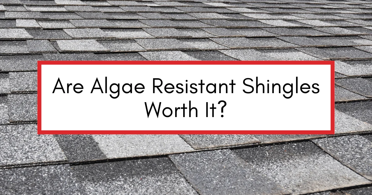 Close-up of a gray asphalt shingle roof with a bold white text box bordered in red that reads: "Are Algae Resistant Shingles Worth It?"