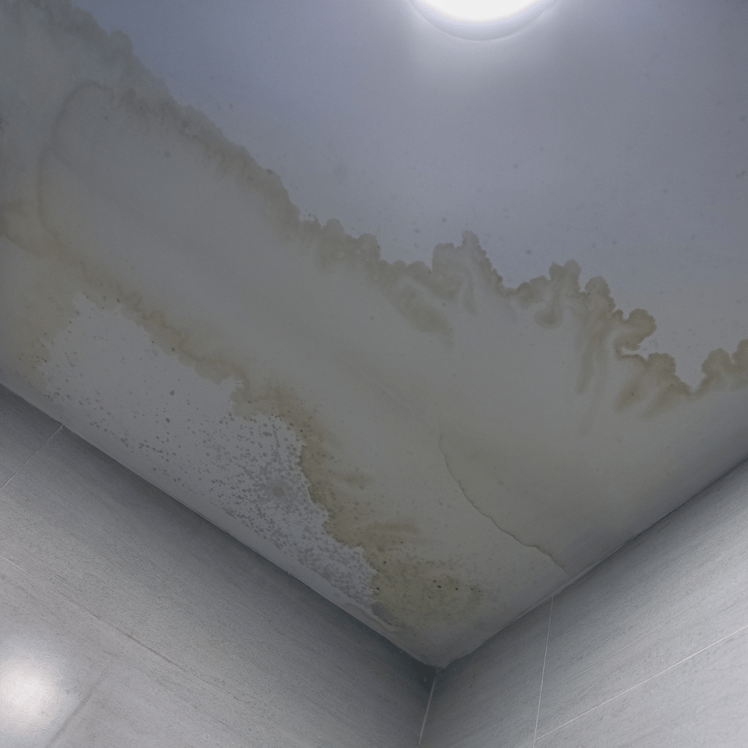 Water stains and mold on a ceiling from a commercial roof leak in St. Matthews, KY.