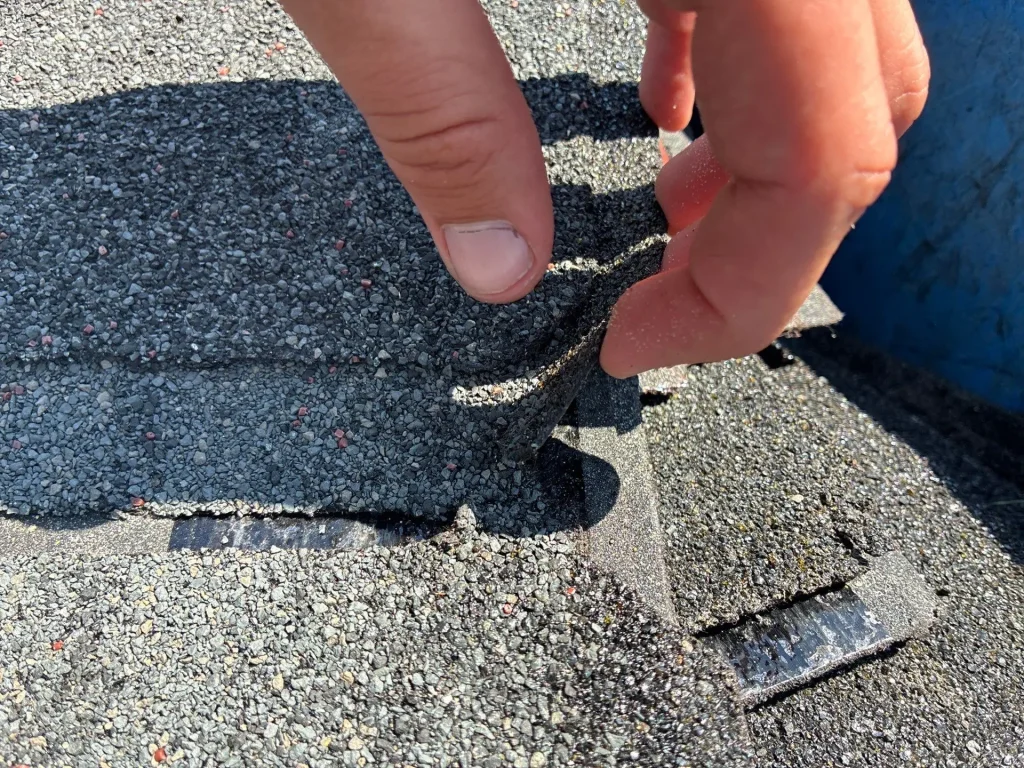 Shingle Repair in Progress on Louisville Roof Hand lifting a worn asphalt shingle tab on a Louisville roof, showing adhesive strip failure and repair needs.
