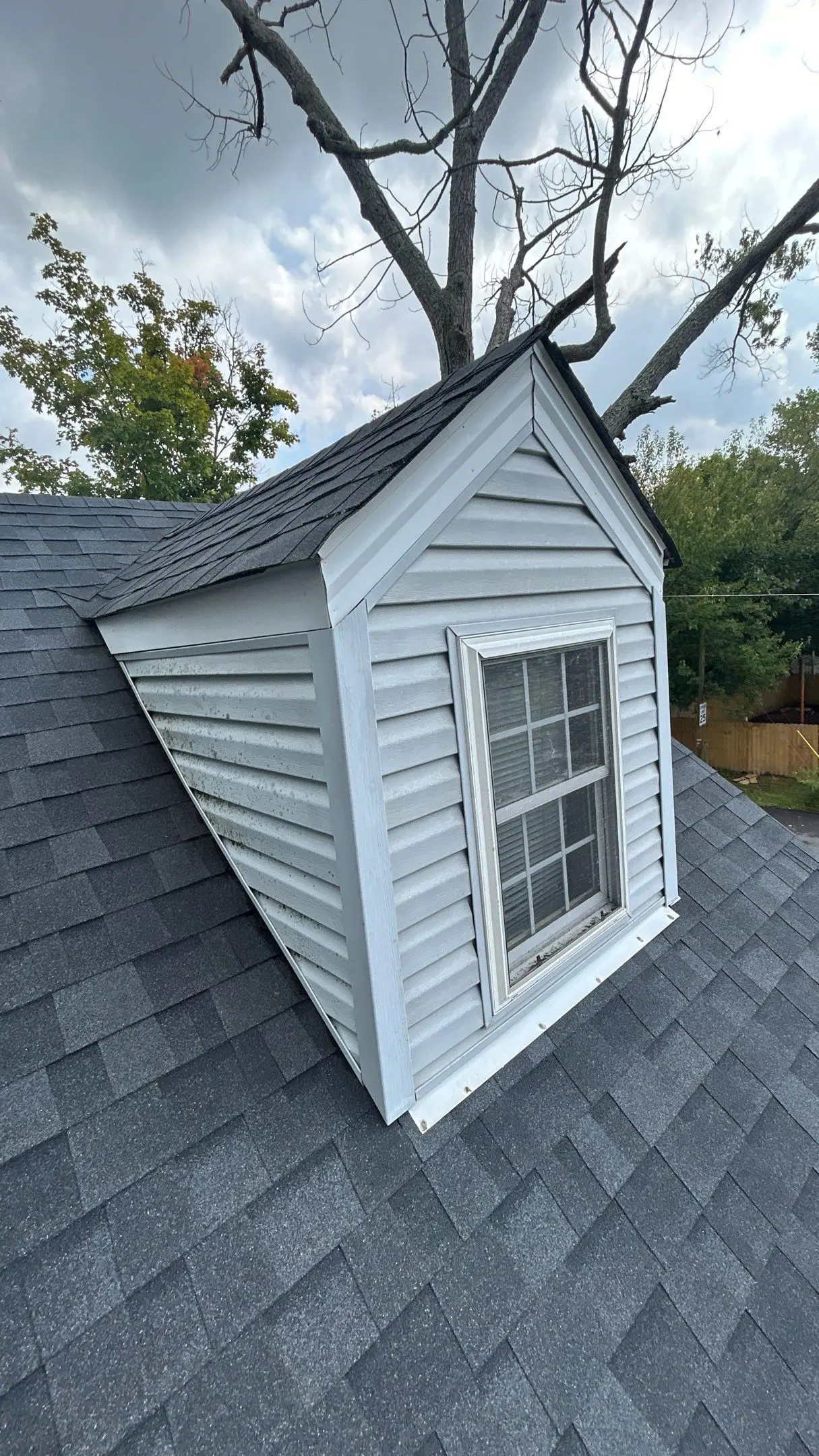 Louisville home dormer with light gray vinyl siding, asphalt shingles, and visible weathering around the siding and window.