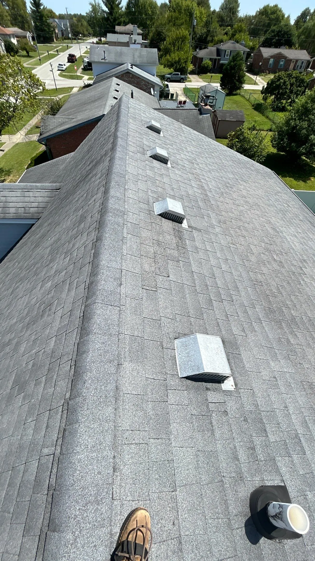 Louisville home roof ridge with multiple metal vent penetrations installed across gray asphalt shingles.
