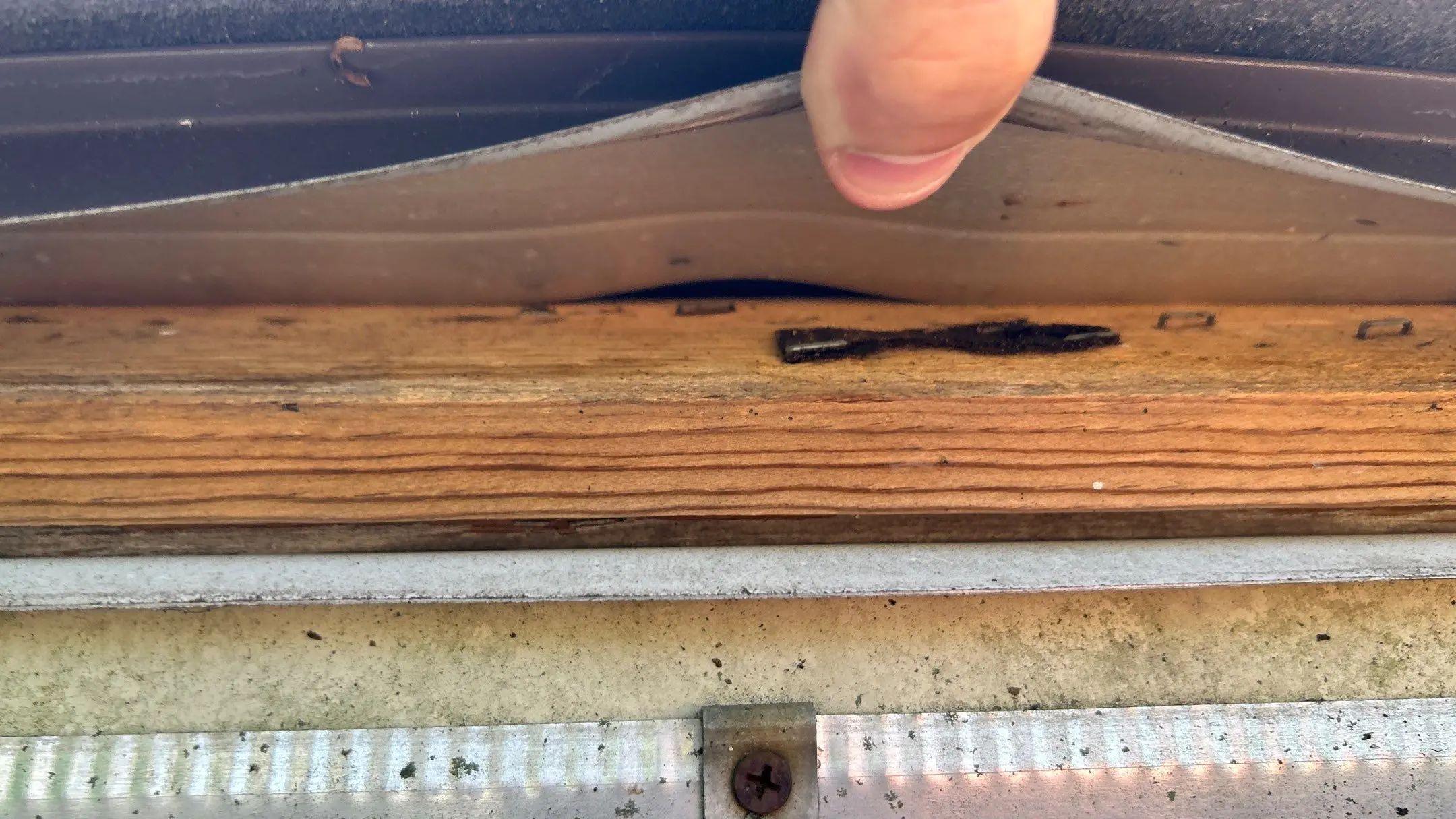 Damaged fascia board revealed behind gutter system, showing water damage and rot.