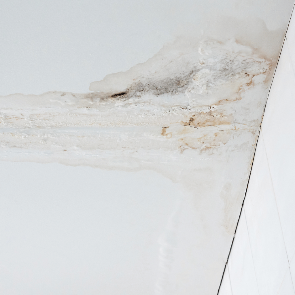 Water-stained ceiling from roof leak in Shelbyville home needing roof repair.