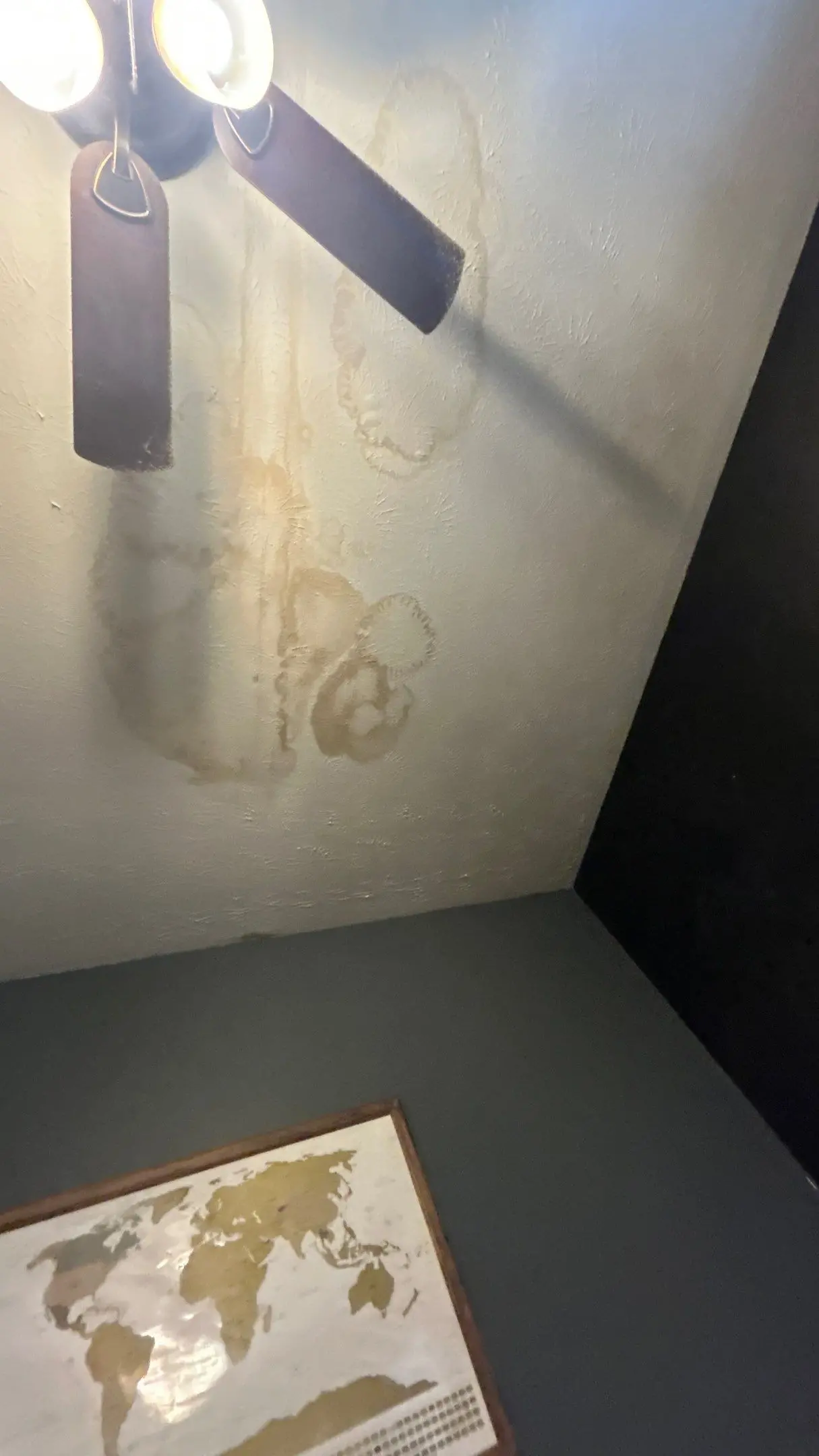 Ceiling with large brown water stains and moisture damage near a light fixture in a Louisville, Kentucky, home, caused by a roof leak.