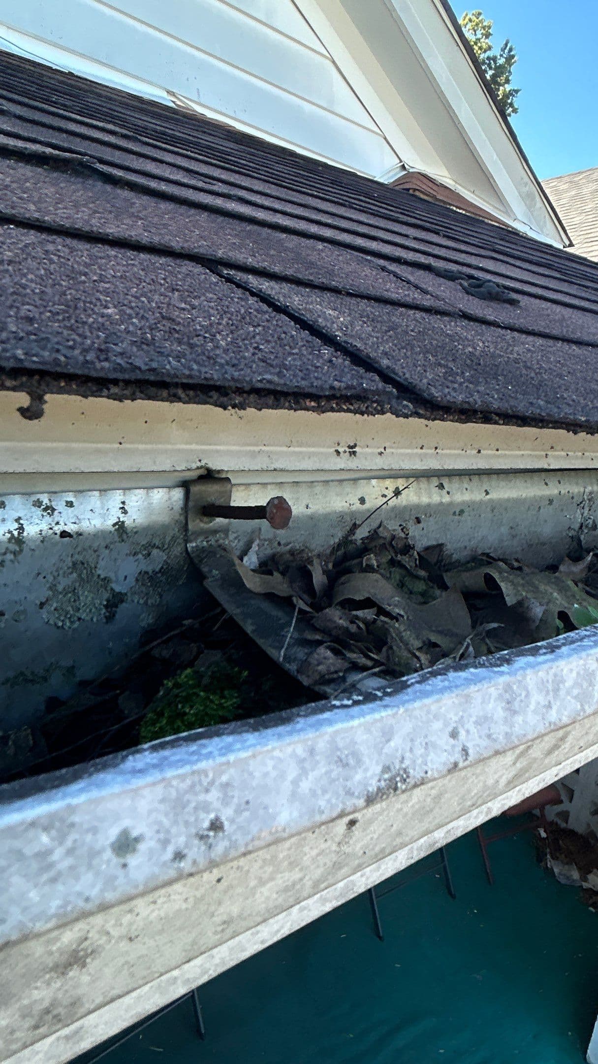 Old Gutter with Water Damage on Louisville Home Clogged gutter filled with leaves and debris on a Shelbyville, Kentucky home before cleaning and repair.