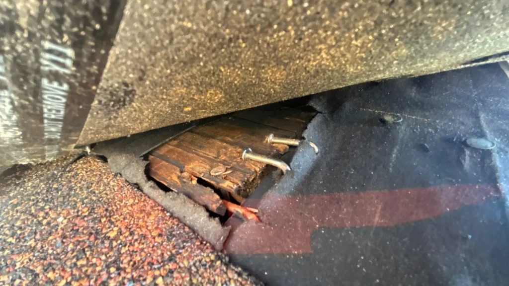 Shingle Repair in Progress on Louisville Roof Close-up of damaged roof decking and exposed nails under lifted shingles on a Louisville home, showing signs of wood rot and water damage.
