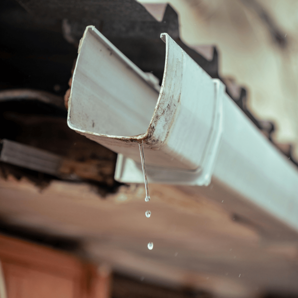 Leaking gutter with rainwater dripping from the end before repair on a Bardstown, Kentucky home.