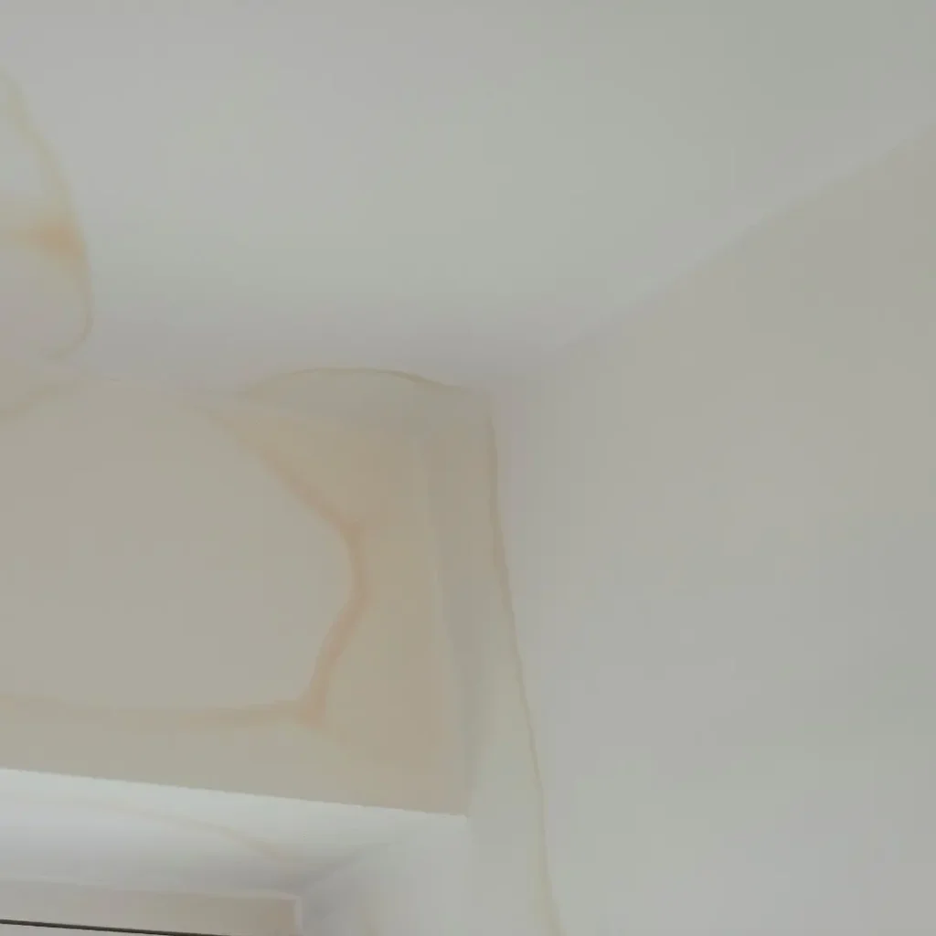 Large brown water stains on a white ceiling caused by a roof leak inside a La Grange KY home.