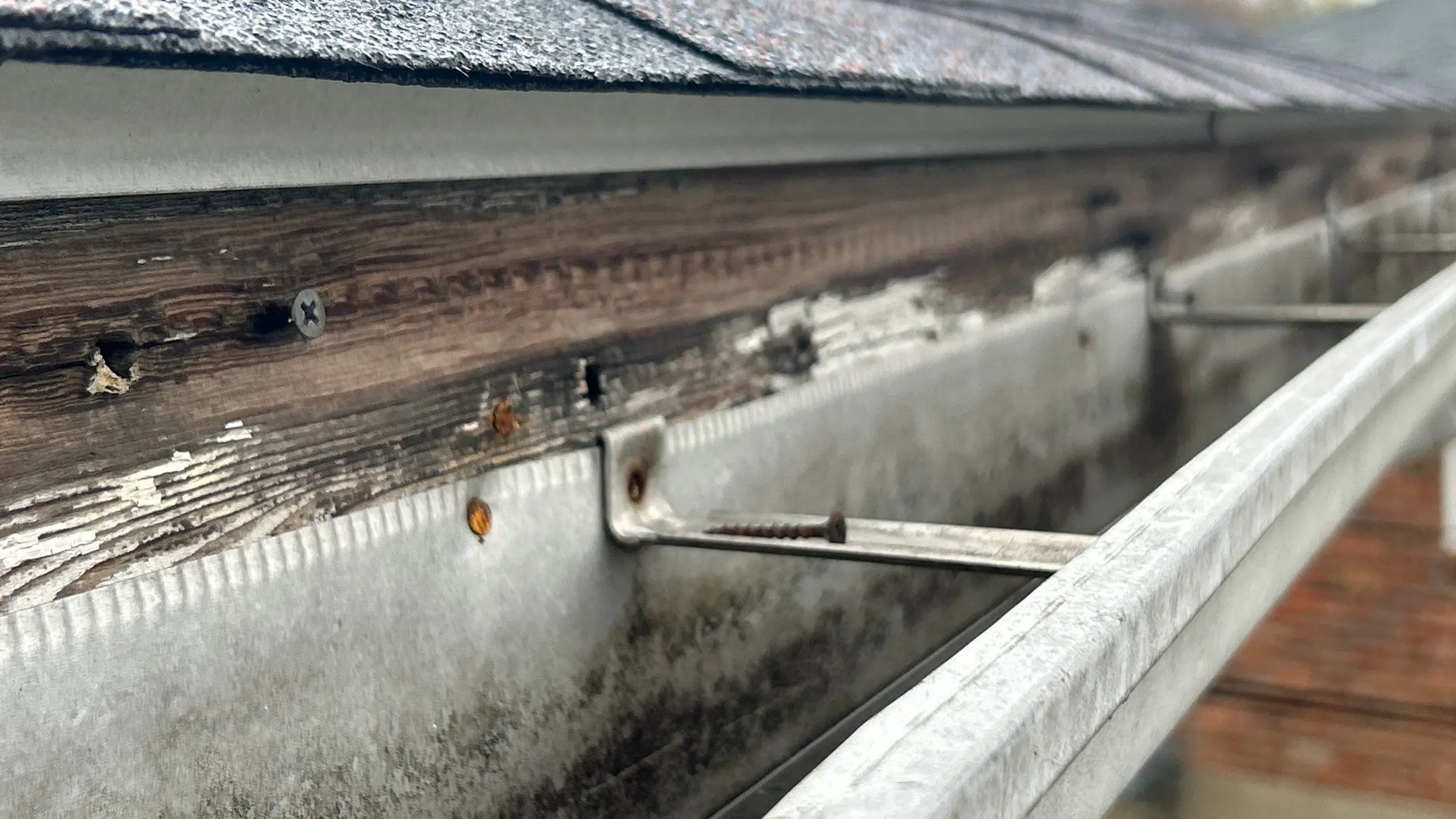 Close-up of a damaged fascia board with rusted gutter screws and worn metal gutters on a Louisville KY home.