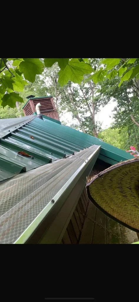 New mesh gutter guards installed along the edge of a metal roof on a Kentucky home surrounded by trees.