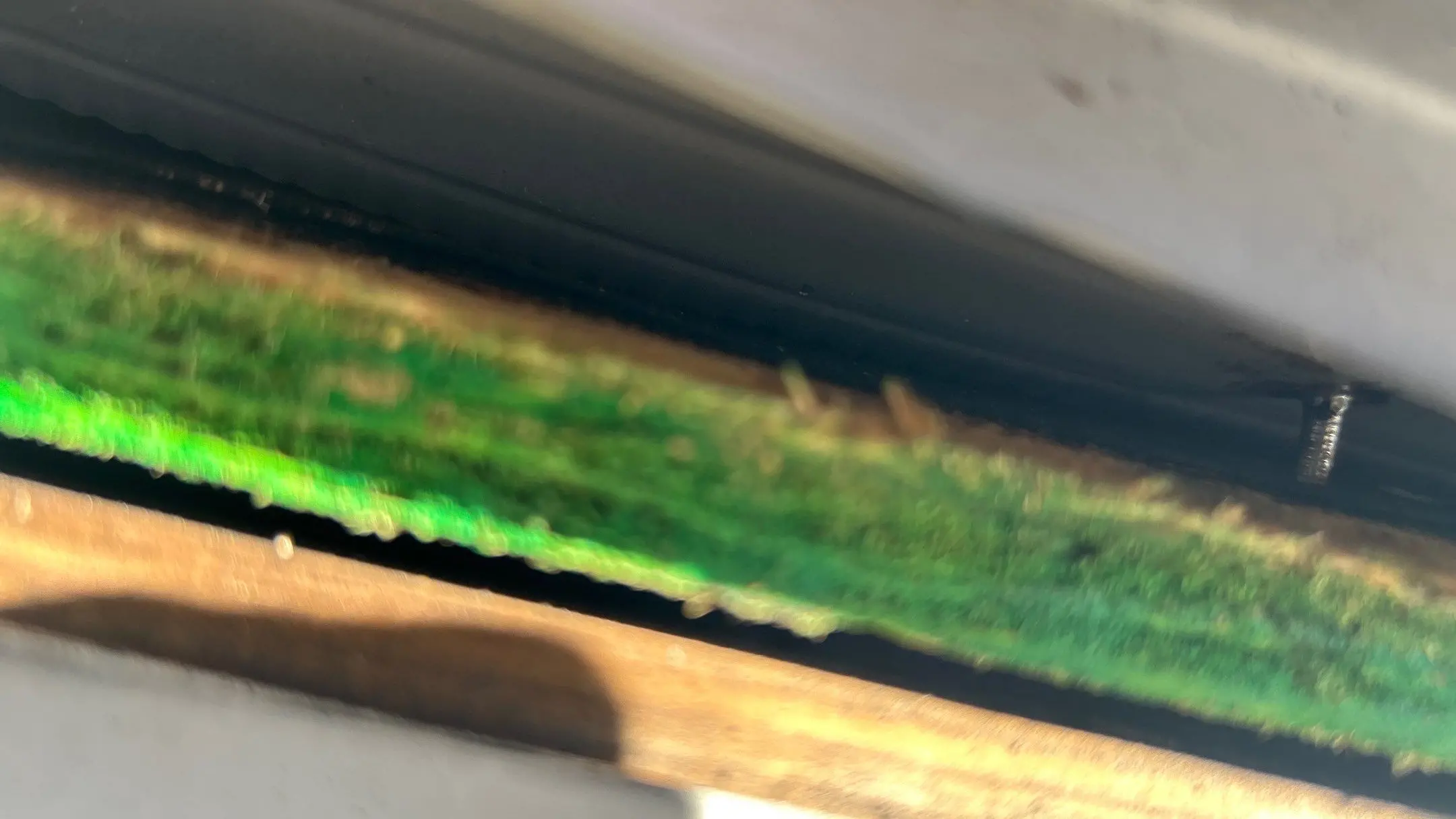 Moisture buildup and water damage inside a gutter system on a Louisville KY home