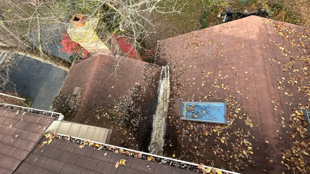 Roof skylight on a Louisville home showing signs of damage and needing repair