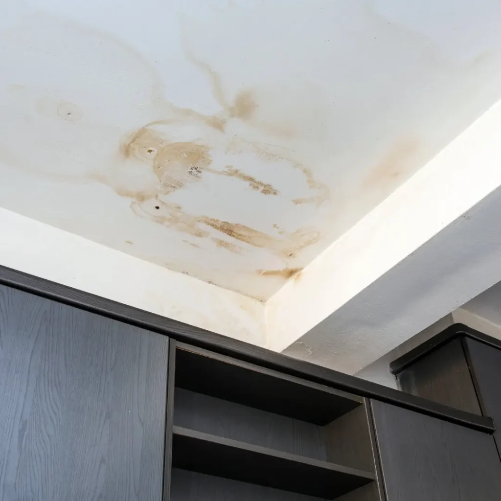 Ceiling water stains caused by a roof leak in a Pewee Valley KY home