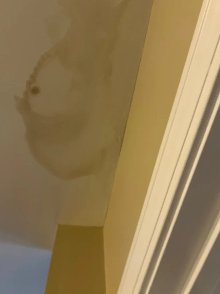 Interior ceiling with large brown water stain caused by a leaking roof near wall corner.