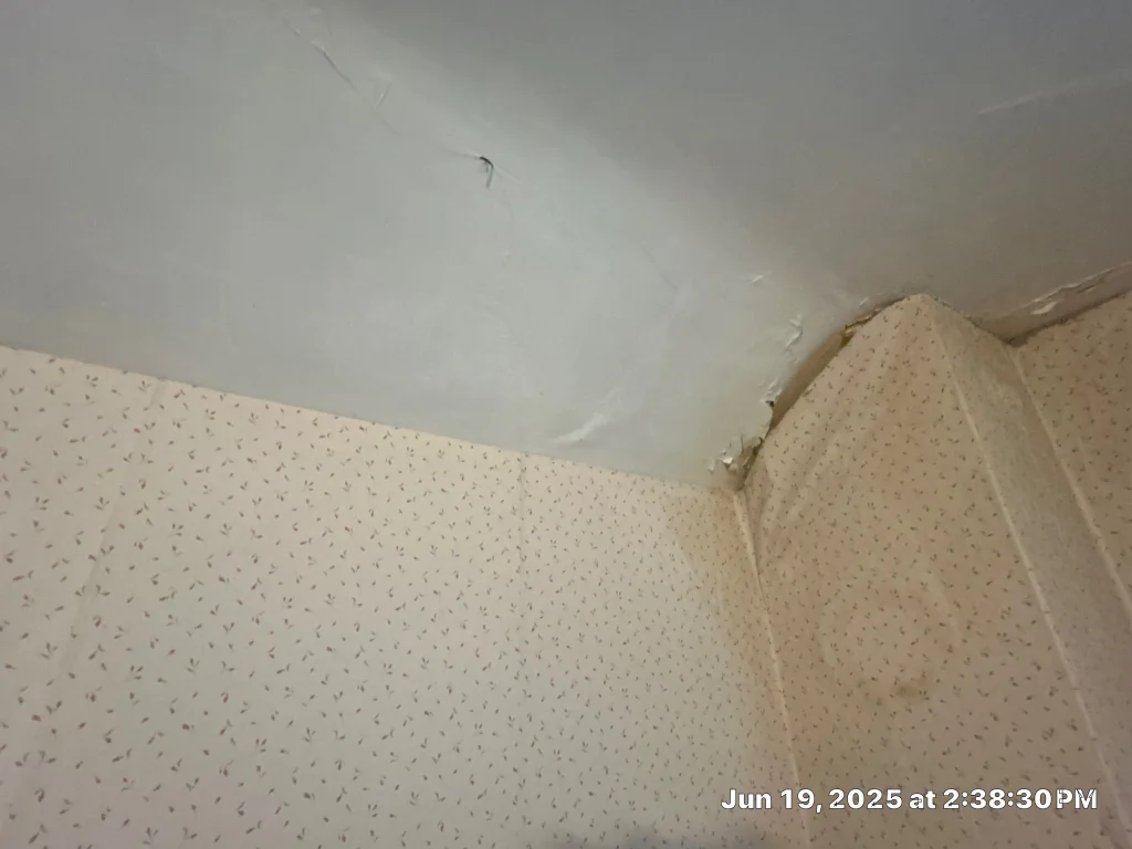 Active ceiling water damage with bubbling and peeling paint from roof leak in Lexington KY