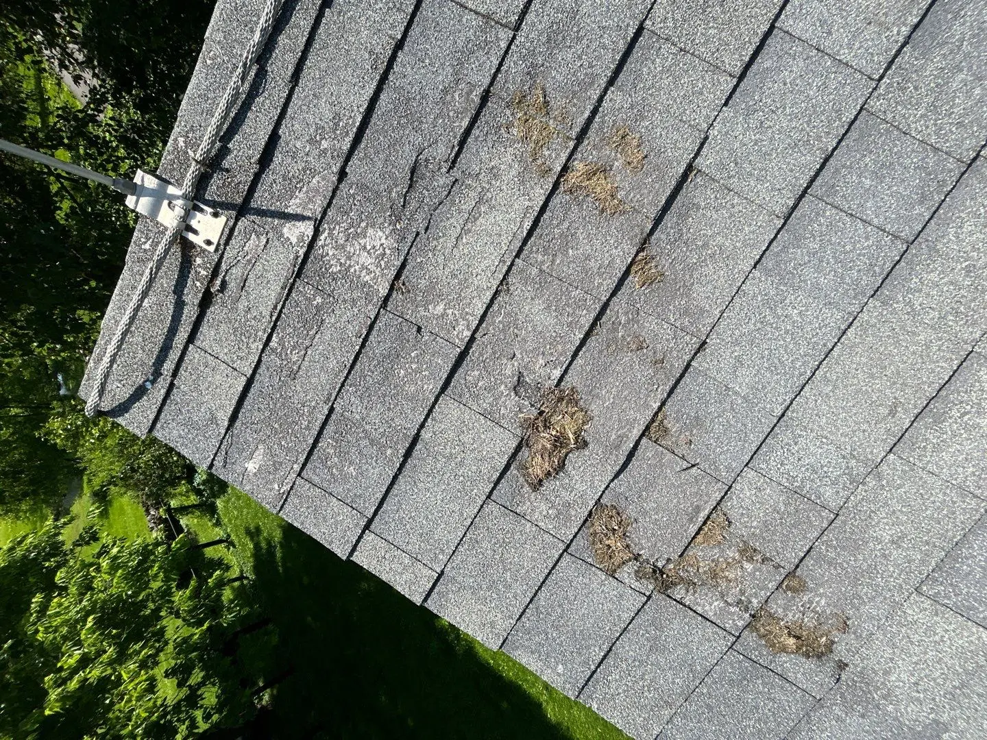 Aged and discolored asphalt shingles on roof in Lexington KY showing wear and buildup