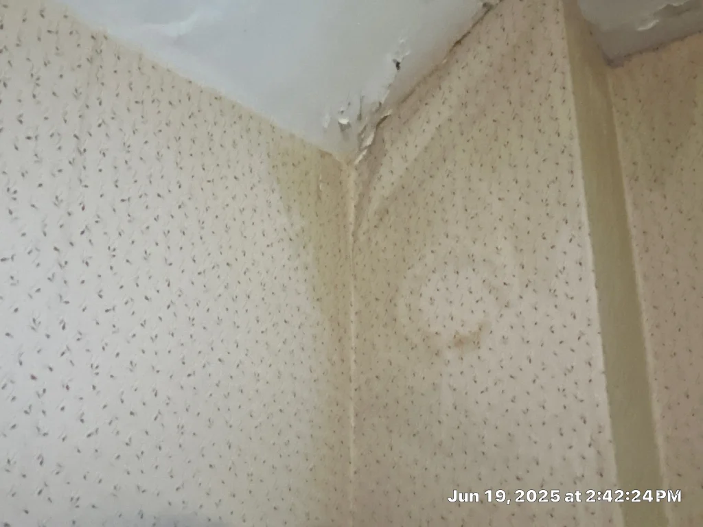 Ceiling water damage and staining from roof leak in Lexington KY home interior