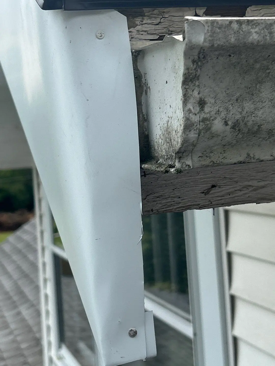 Old Gutter with Water Damage on Louisville Home Damaged gutter with mold and wood rot on residential home in Lexington KY