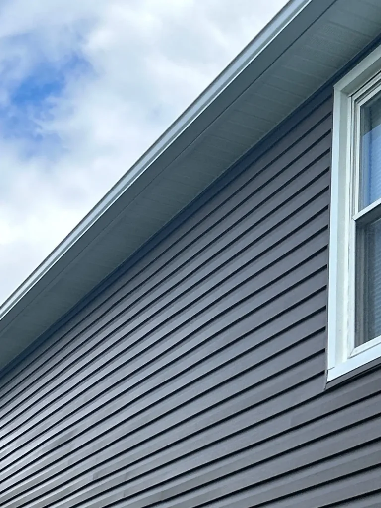Dark vinyl siding with white trim on residential home in Lexington KY