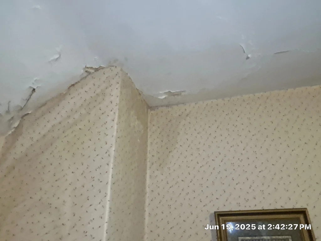 Stained ceiling with peeling paint from roof leak in Lexington KY home