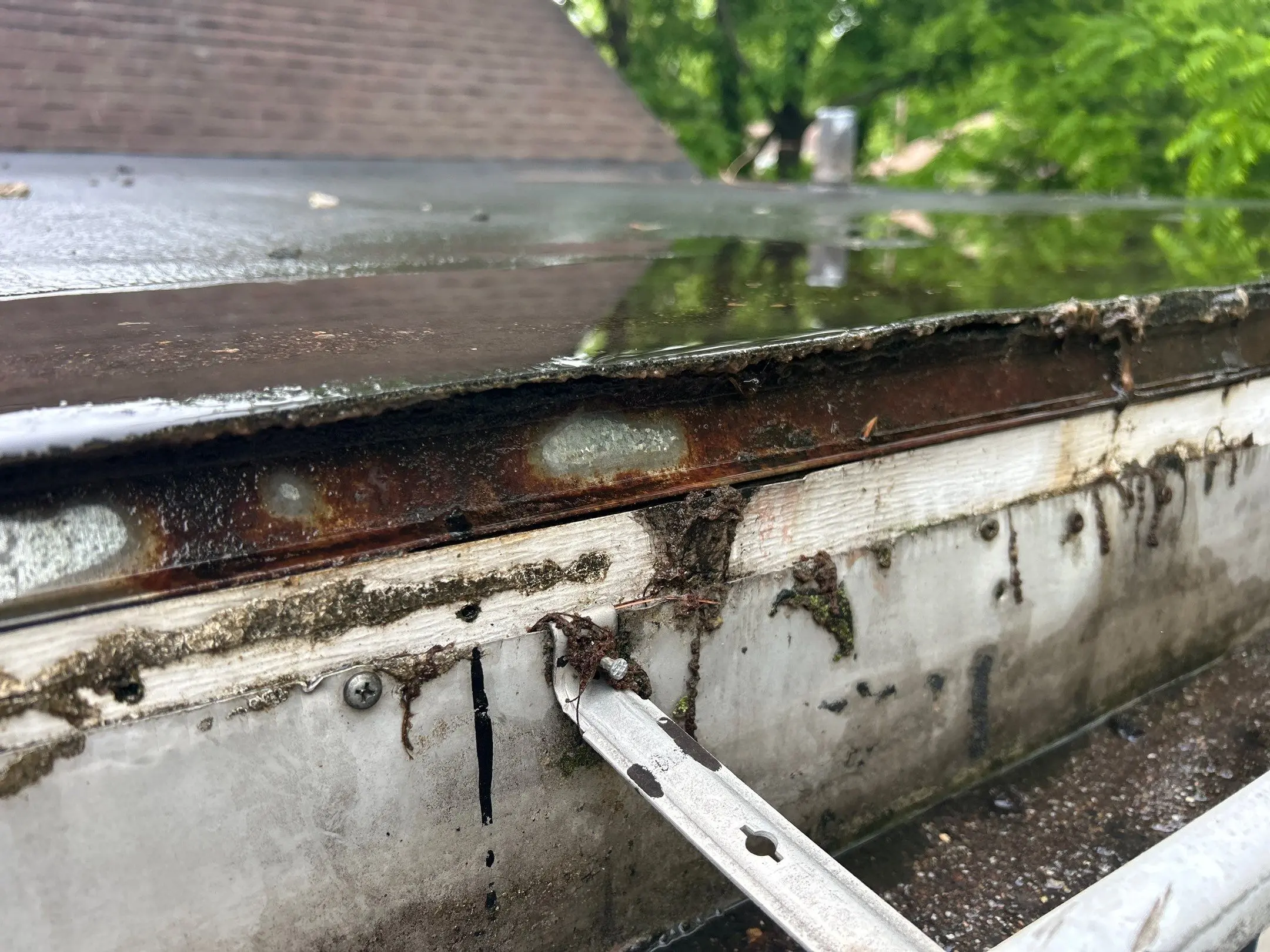 Old Gutter with Water Damage on Louisville Home Rusted gutter with standing water and debris buildup on Lexington KY home