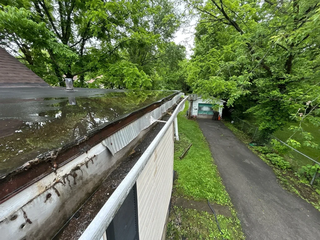 Broken Gutter with Debris on Louisville Home Severely clogged and rusted gutter filled with standing water on Lexington KY home