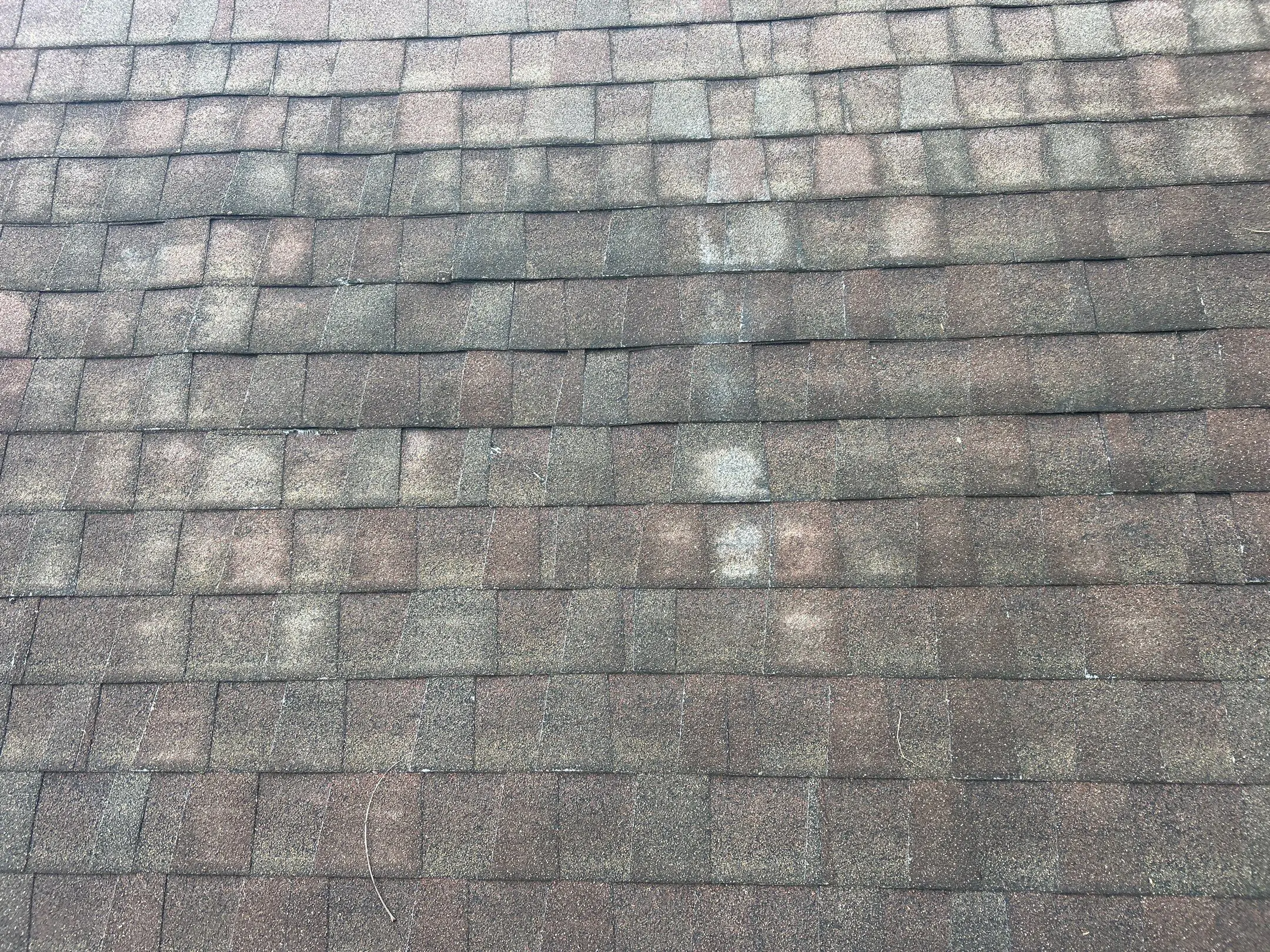 Stained and discolored asphalt shingles on roof in Lexington KY showing algae growth and aging