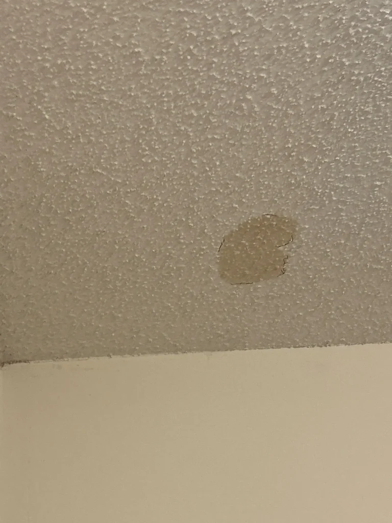 Ceiling water stain from roof leak in Berea KY home