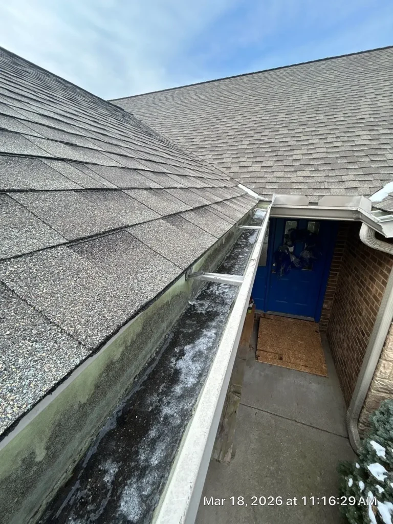 Clogged gutter with standing water and debris buildup on Richmond KY home roofline