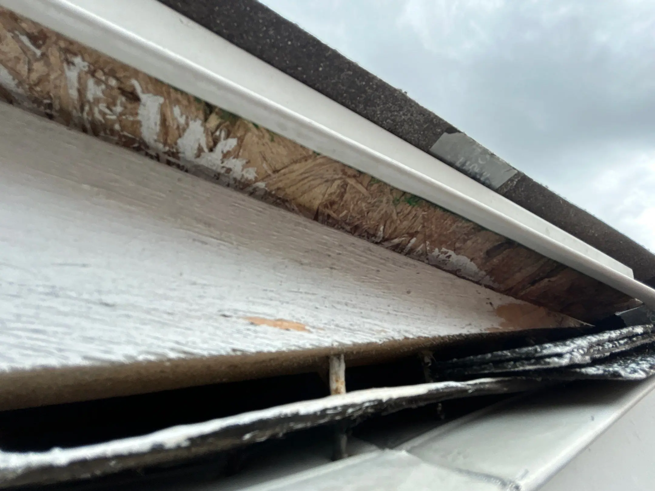 Rotting fascia board behind gutter system on a Lexington KY home showing water damage