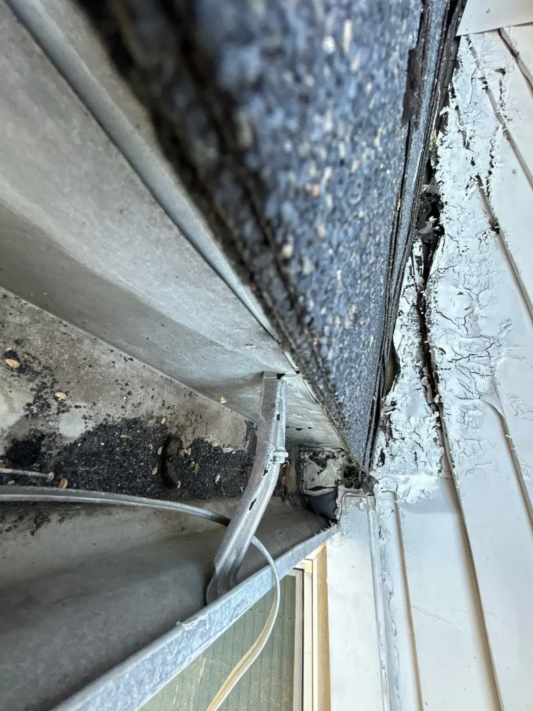 Gutter separation and debris buildup causing water damage near roof edge on Richmond KY home